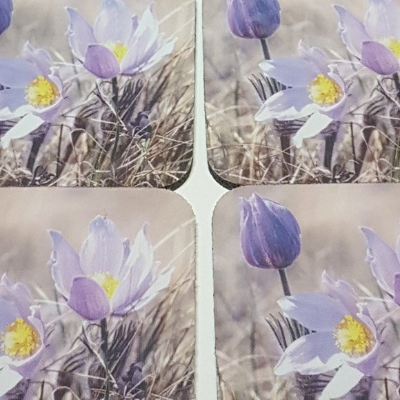 Vintage Canadian Art Coasters Crocus (Horst Baender) Moose Jaw Flowers Artwork - Picture 4 of 9